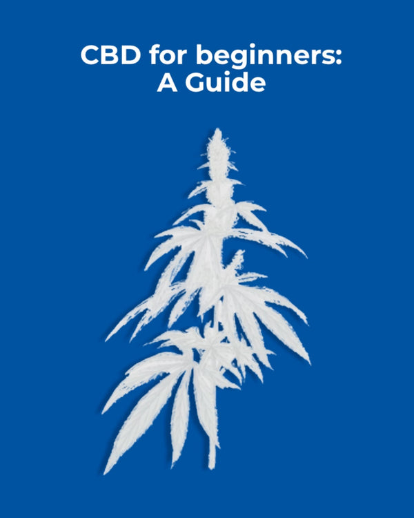 CBD for Beginners: A guide to using CBD
