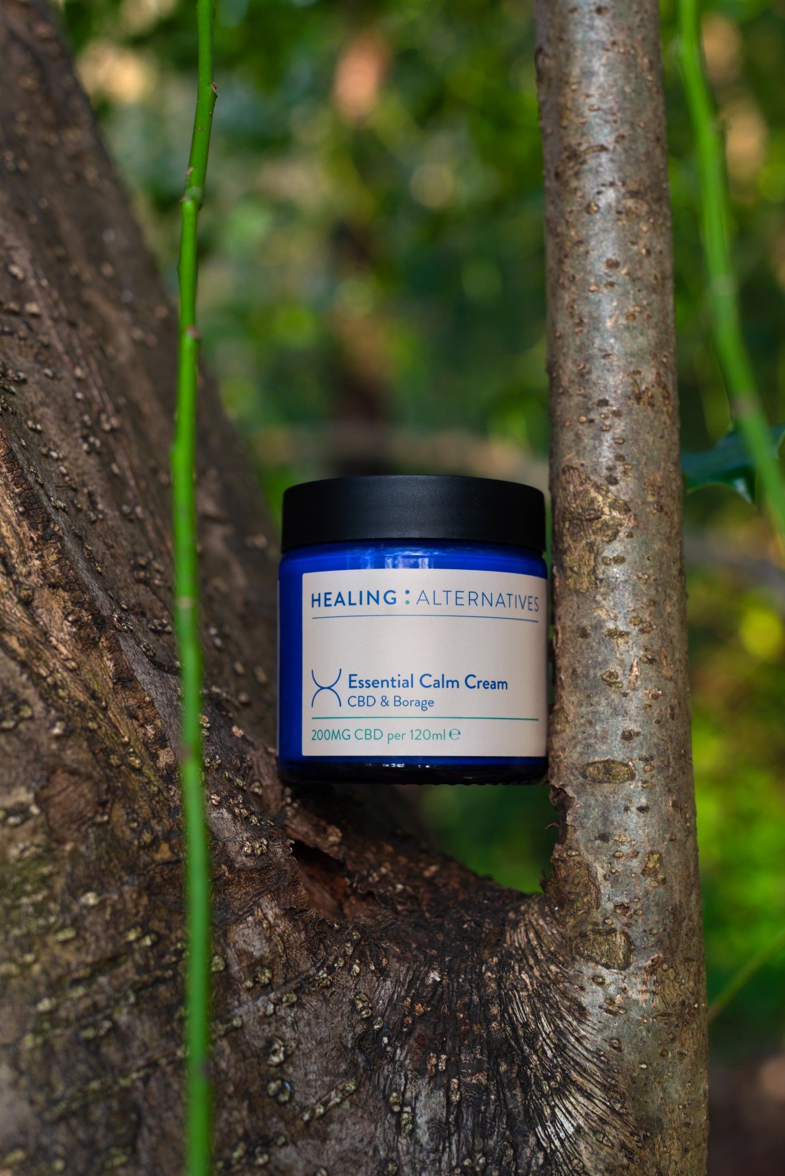 Essential Calm (Eczema) Cream 120ml. – Healing Alternatives